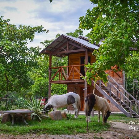 Oca Tocarijus Eco Resort Piracuruca Екстер'єр фото