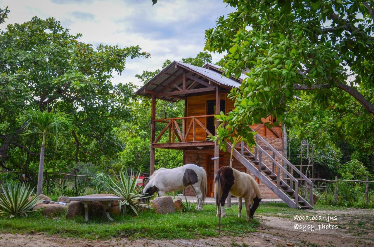 Oca Tocarijus Eco Resort Piracuruca Екстер'єр фото